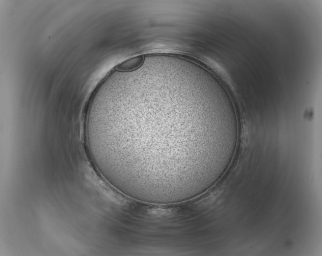 X0000111391419200907241323