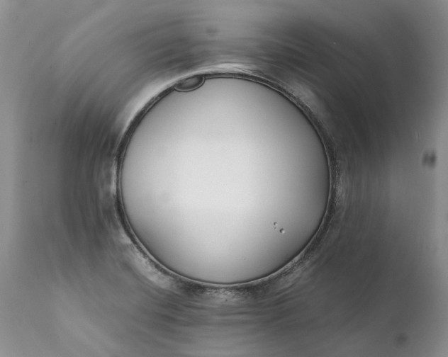 X0000111391420200907241323