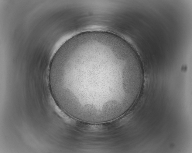 X0000111391421200907241323