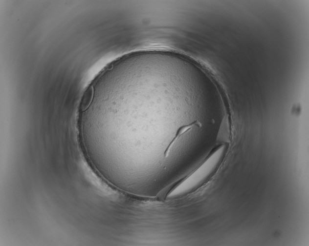 X0000111391422200907241323