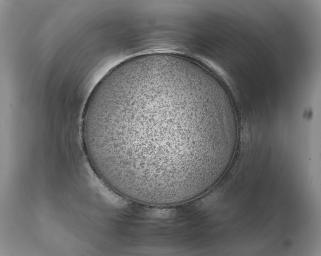 X0000111391423200907241323