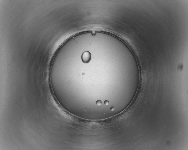 X0000111391424200907241323