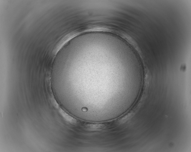 X0000111391425200907241323