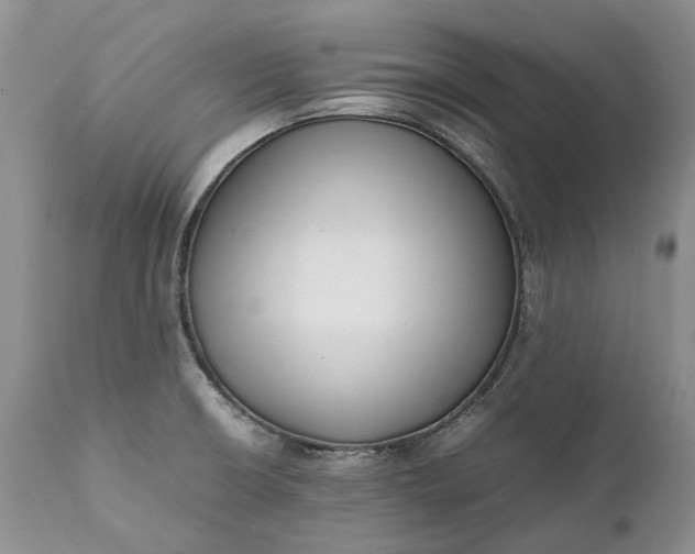 X0000111391426200907241323