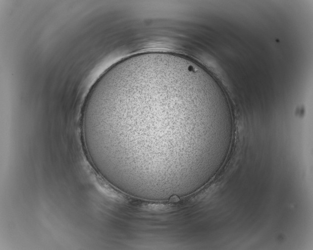 X0000111391427200907241323