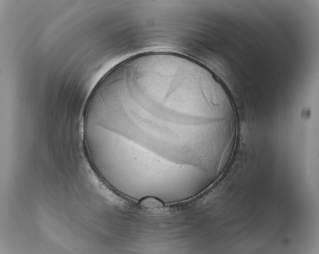 X0000111391428200907241323