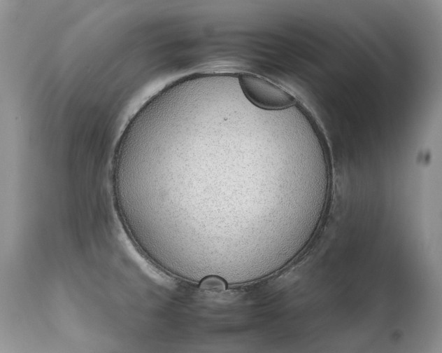 X0000111391429200907241323