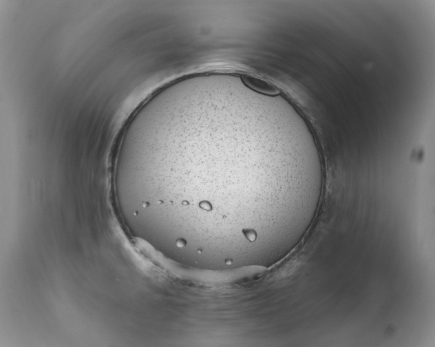 X0000111391430200907241323