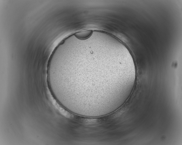 X0000111391431200907241323