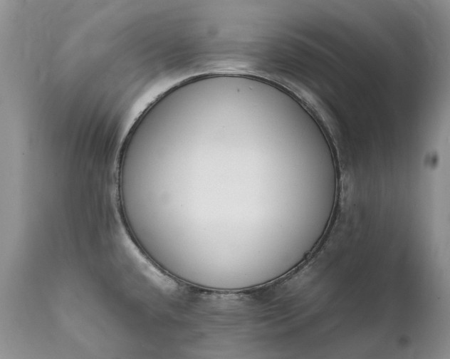 X0000111391432200907241323