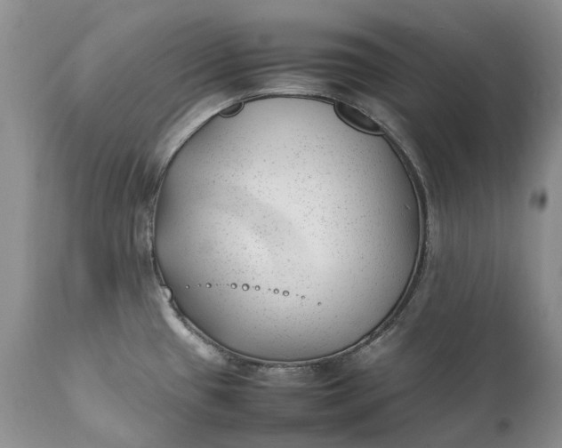 X0000111391433200907241323