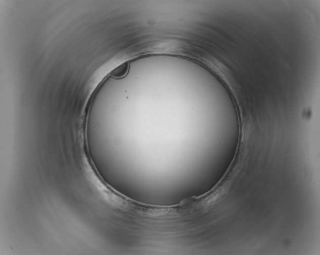 X0000111391434200907241323