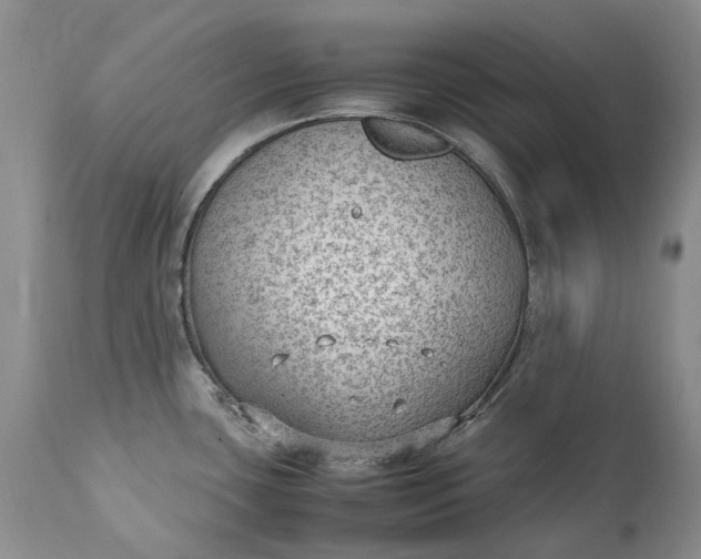 X0000111391435200907241323