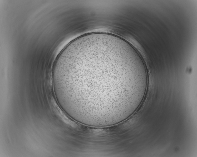 X0000111391436200907241323