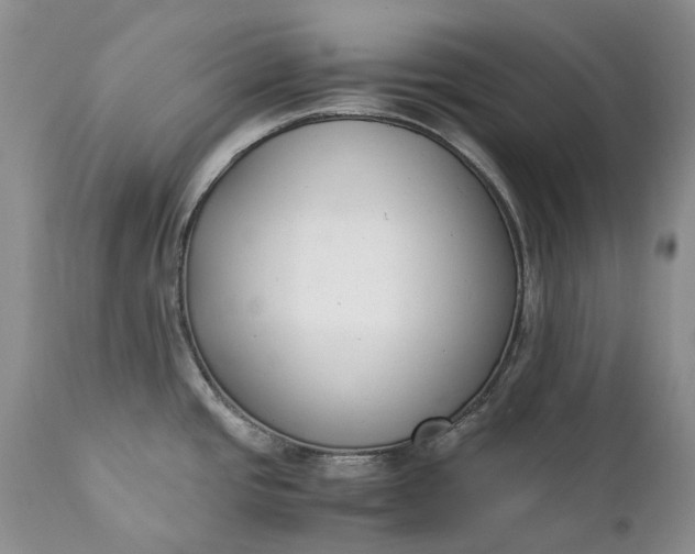 X0000111391437200907241323