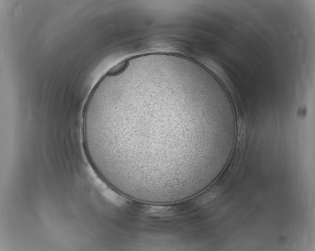 X0000111391439200907241323