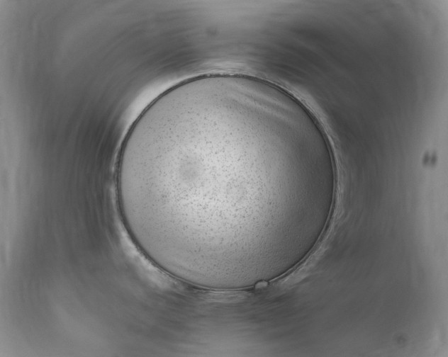 X0000111391440200907241323