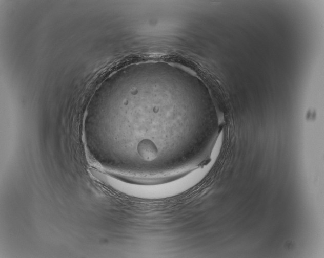 X0000111391441200907241322