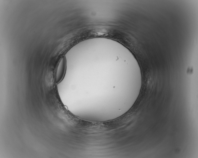 X0000111391442200907241322