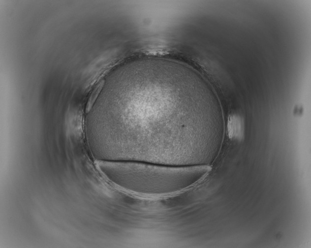 X0000111391444200907241322