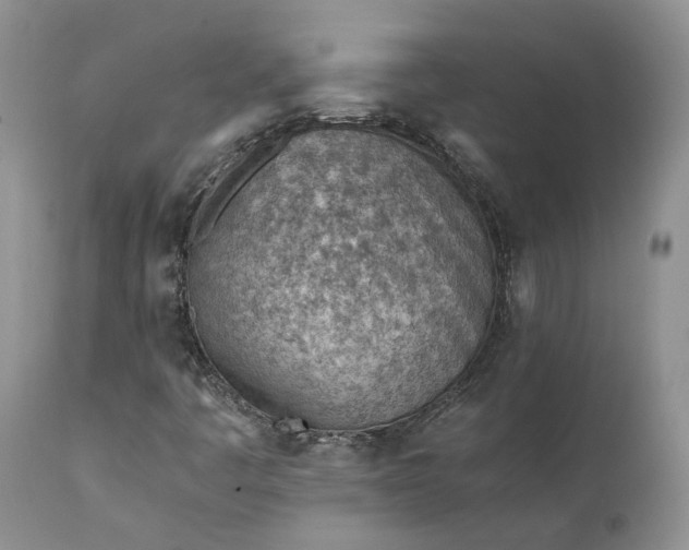 X0000111391445200907241322