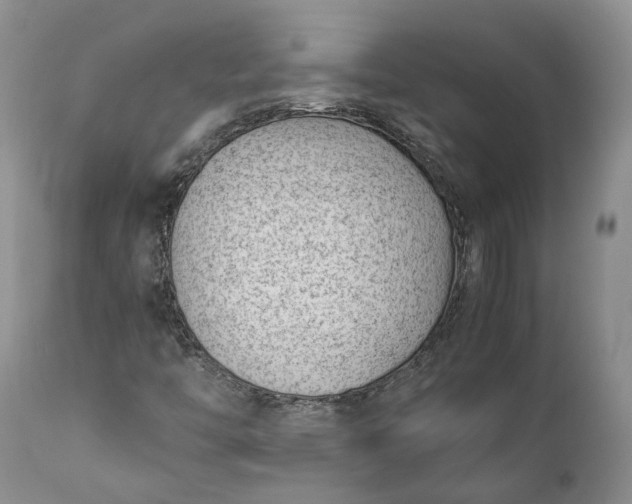 X0000111391446200907241322