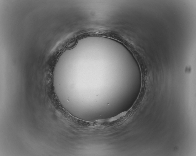 X0000111391447200907241322