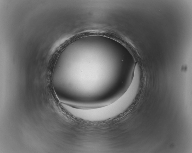 X0000111391448200907241322