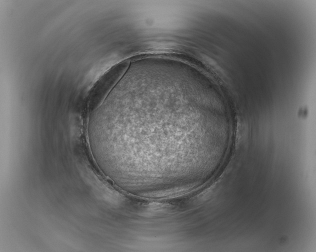 X0000111391449200907241322