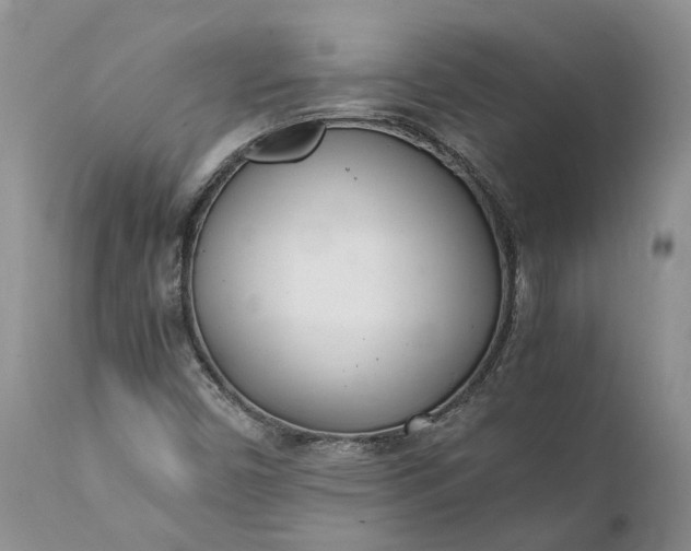 X0000111391450200907241322