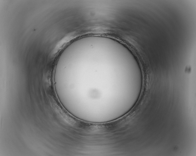 X0000111391451200907241322