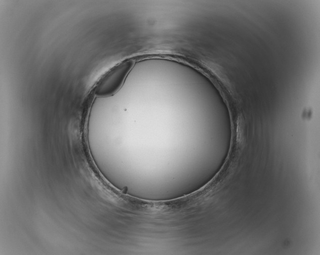 X0000111391452200907241322