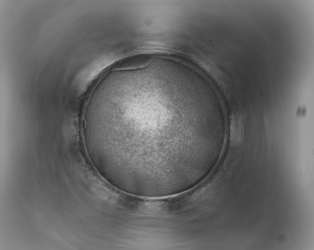 X0000111391453200907241322