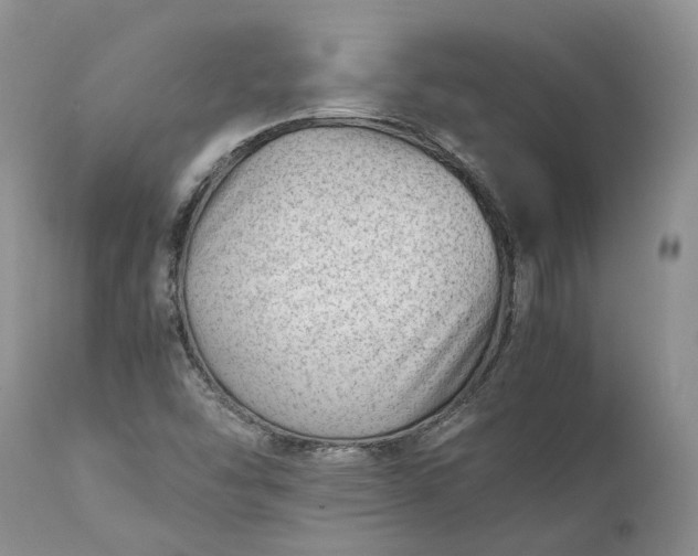 X0000111391454200907241322