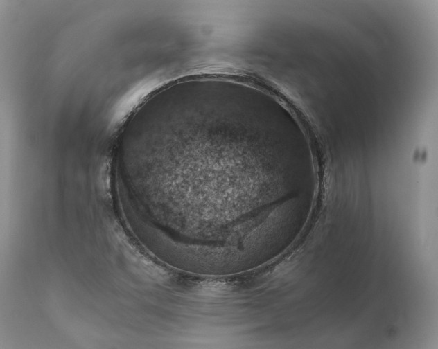 X0000111391455200907241322