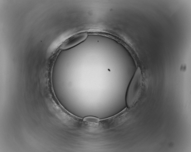 X0000111391456200907241322