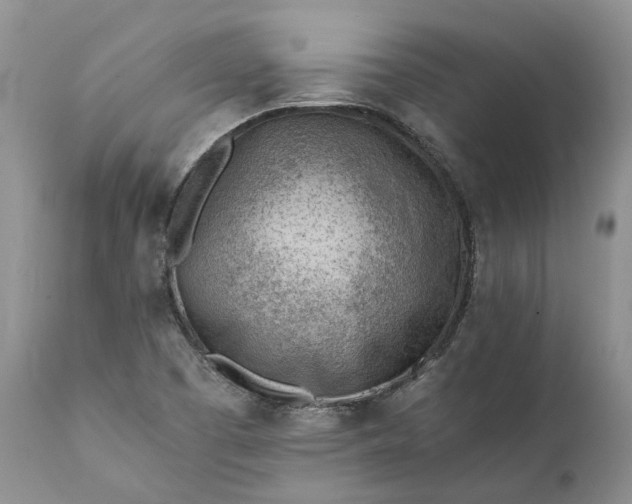 X0000111391457200907241322