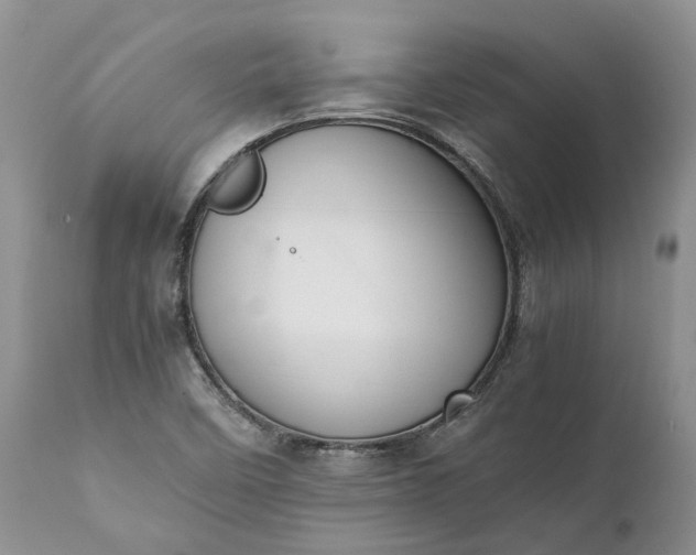 X0000111391458200907241322