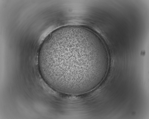 X0000111391459200907241322