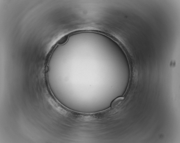 X0000111391460200907241322