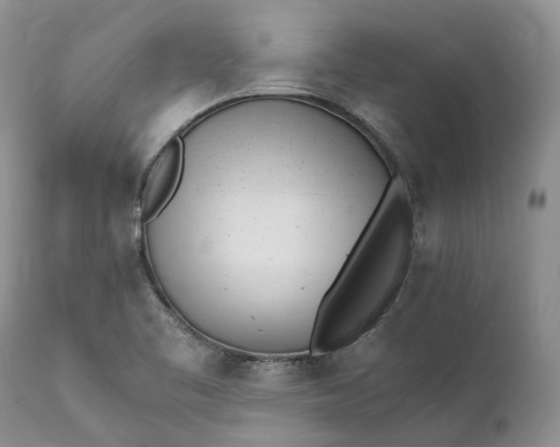 X0000111391461200907241322