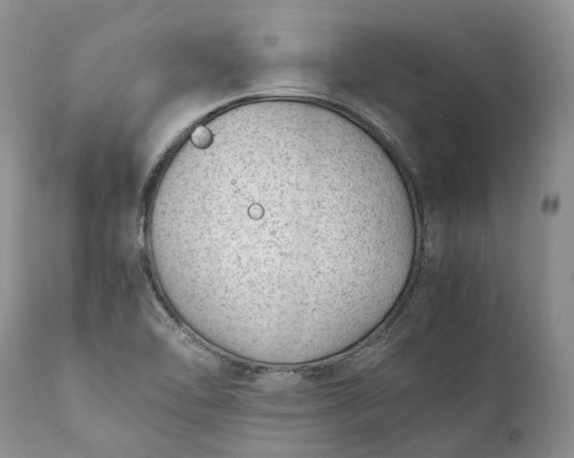 X0000111391462200907241322