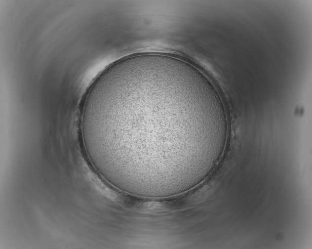 X0000111391463200907241322