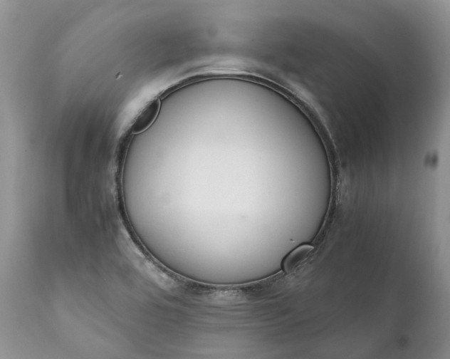 X0000111391464200907241322