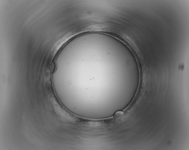 X0000111391465200907241322