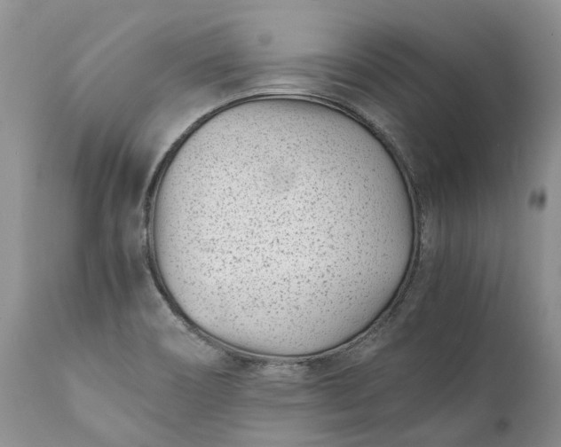 X0000111391466200907241322