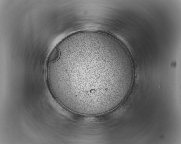 X0000111391467200907241322