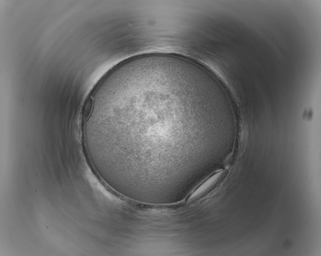 X0000111391468200907241322