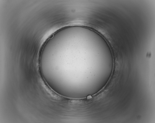 X0000111391469200907241322