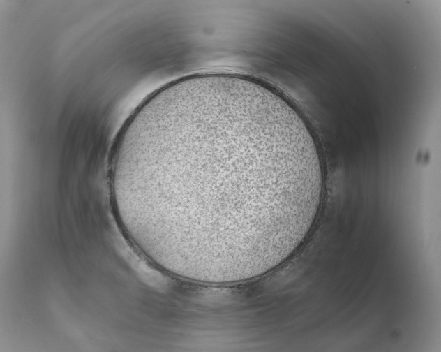 X0000111391470200907241322